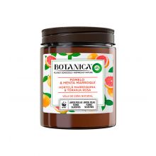 Air Wick - *BOTANICA by Air Wick* - Duftkerze aus natürlichem Wachs – Grapefruit & marokkanische Minze