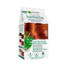 Garnier - 100% pflanzliche Farbe Color Herbalia - Mahagoni-Kastanie
